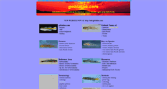 Desktop Screenshot of gobiidae.com